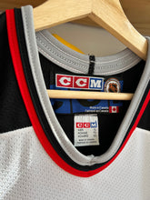 Load image into Gallery viewer, Vintage CCM Buffalo Sabres Dominik Hasek Goat Head Stitched Jersey XL