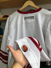Load image into Gallery viewer, Vintage CCM Phoenix Coyotes Blank Jersey Size XL
