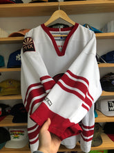Load image into Gallery viewer, Vintage CCM Phoenix Coyotes Blank Jersey Size XL
