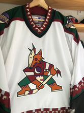 Load image into Gallery viewer, Deadstock Vintage CCM Phoenix Coyotes Blank Jersey Size Large
