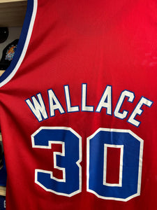 Vintage Champion Washington Bullets Rasheed Wallace Jersey 44